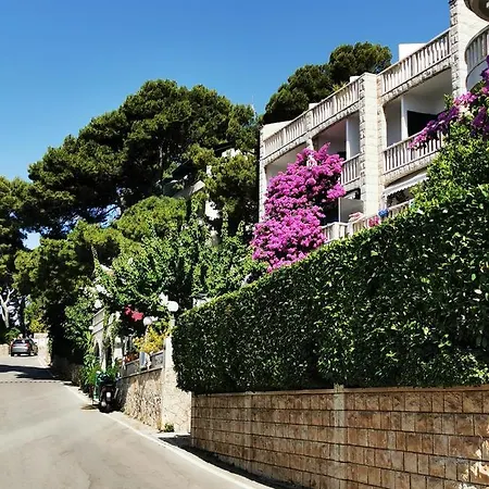 Apartment Bose- Luka Sodan *