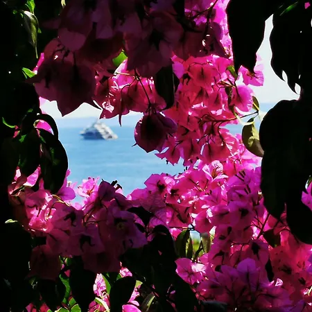 Апартаменты Bose Брела