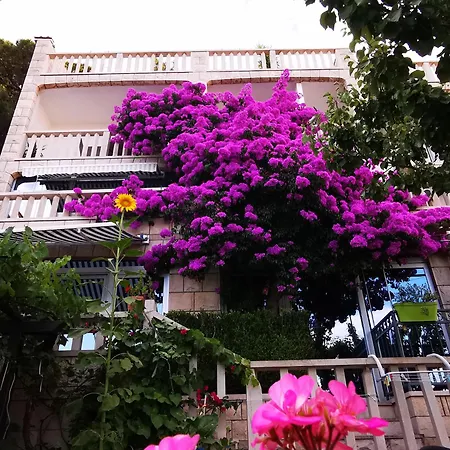 Bose- Luka Sodan Apartment