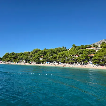 Апартаменты Bose