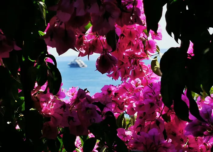 Lägenhet Bose Brela